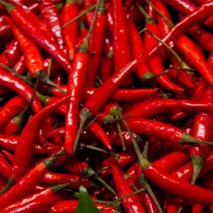 chillies chillies