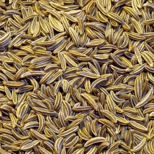 cumin-seeds cumin-seeds