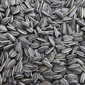 sunflower-seeds sunflower-seeds